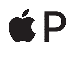 Apple_Pay_logo.svg - Copy